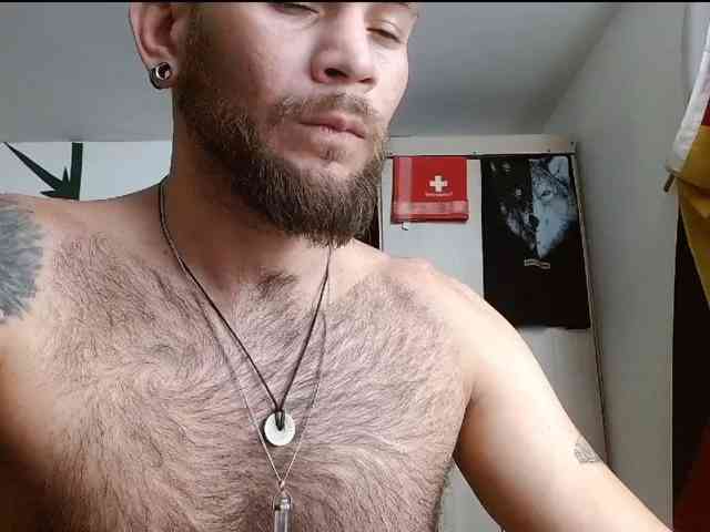 Loganthewolf Loganthewolf