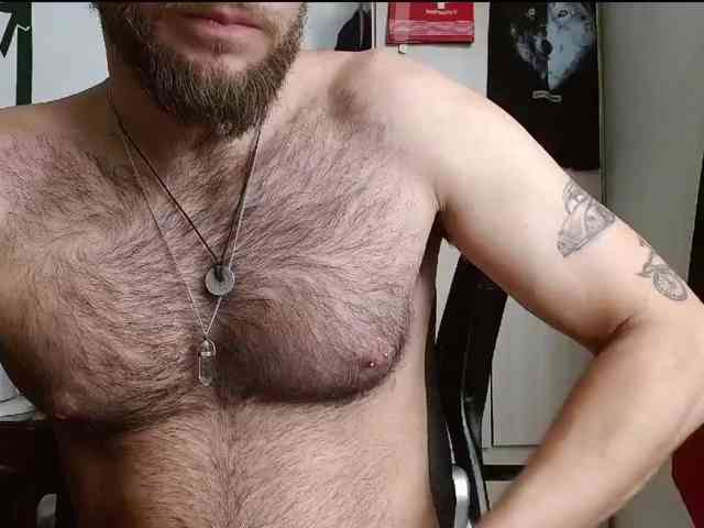Loganthewolf
