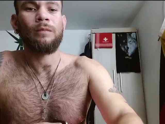 Loganthewolf Loganthewolf