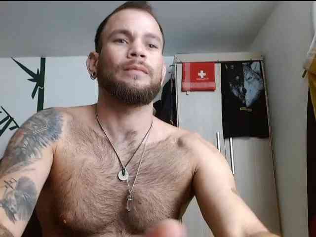 Loganthewolf Loganthewolf