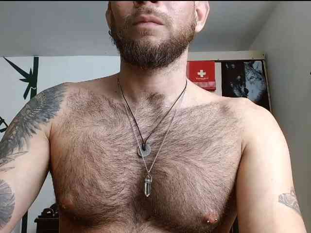 Loganthewolf