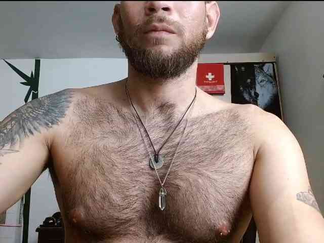 Loganthewolf