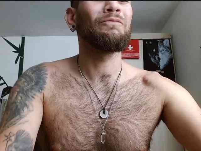Loganthewolf