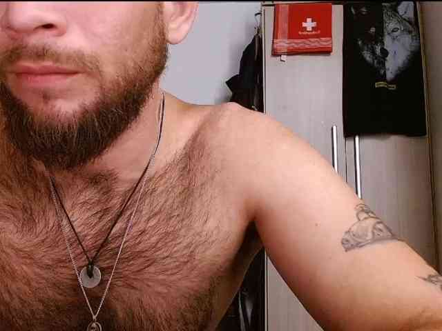 Loganthewolf Loganthewolf