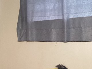 Squirty001's Live Webcam