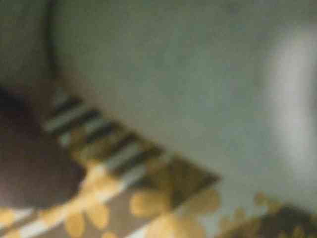 Sandy33SS33