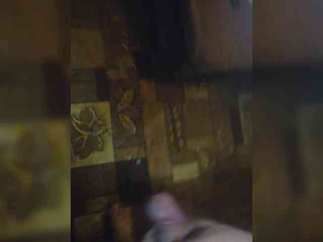Sandy33SS33