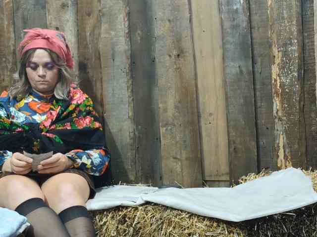 BarnDebauchery