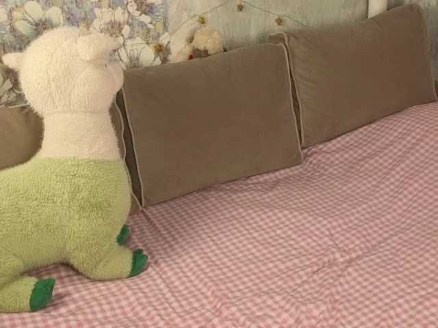 VidaPirkl live cam on BongaCams