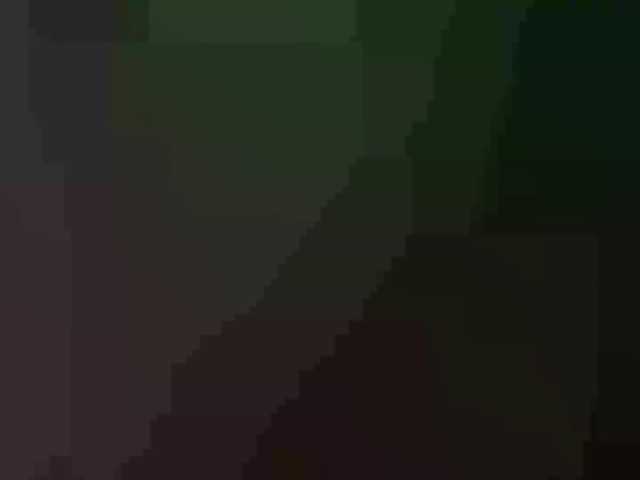 VidaPirkl live cam