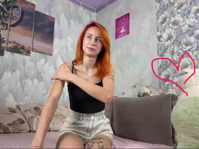 Modelo: VidaPirkl