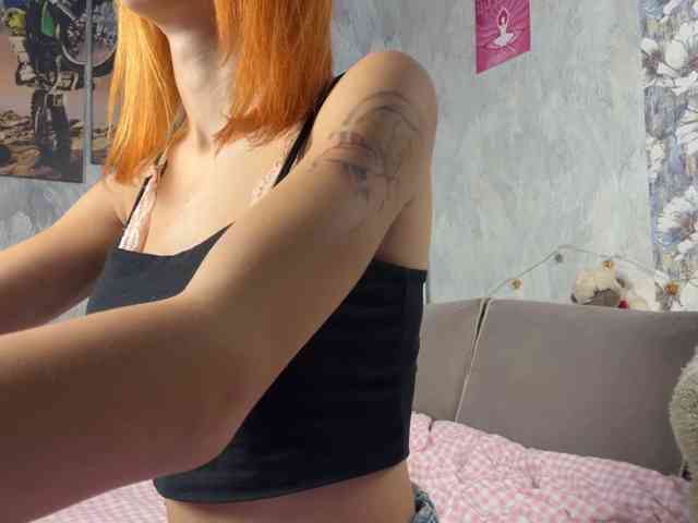 Modelo: VidaPirkl