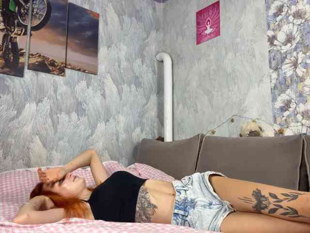 Modelo: VidaPirkl