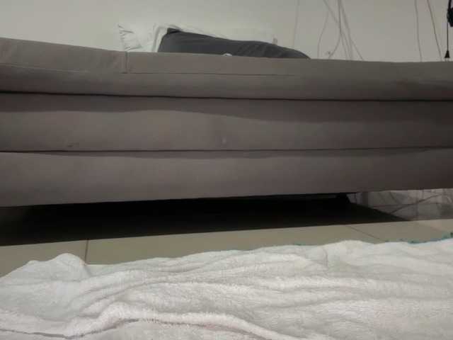 dominicbrand