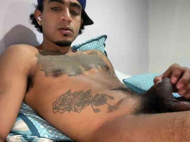 dominicbrand dominicbrand