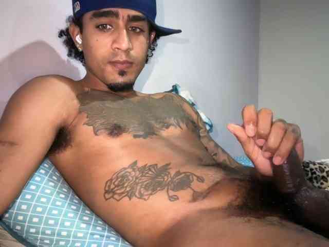 dominicbrand dominicbrand