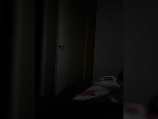 Curiosos3733