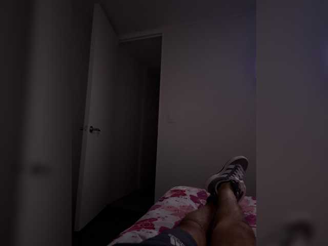 Curiosos3733