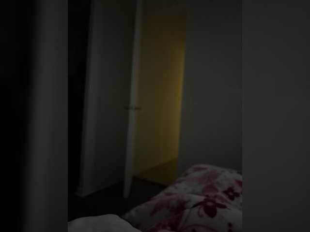 Curiosos3733