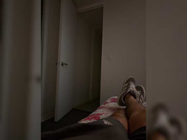 Curiosos3733