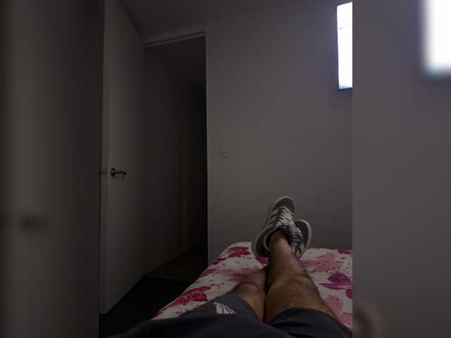 Curiosos3733