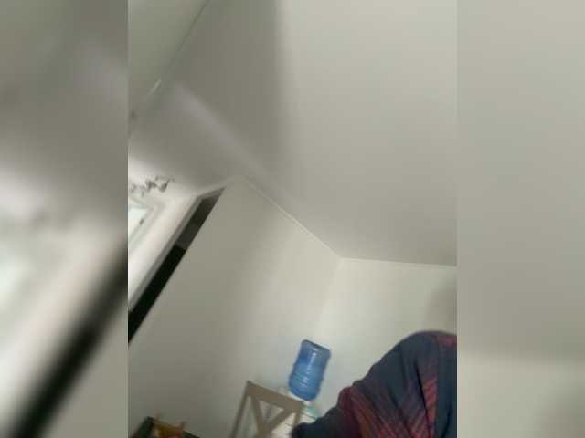 Curiosos3733