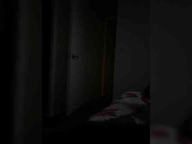 Curiosos3733