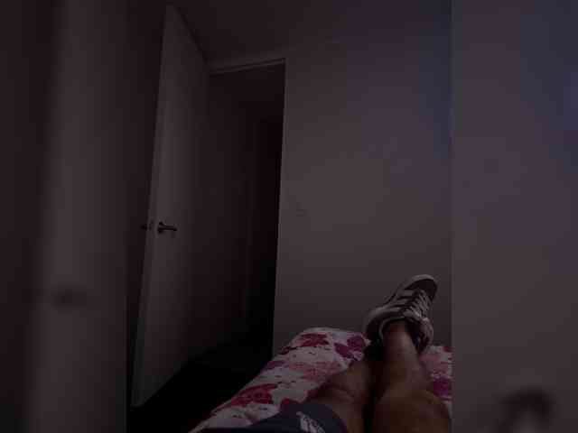 Curiosos3733
