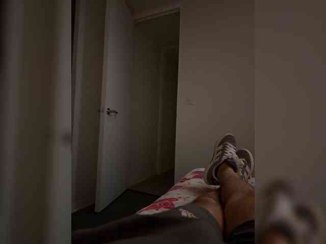 Curiosos3733