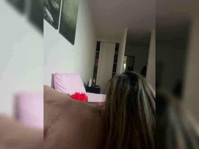 Curiosos3733