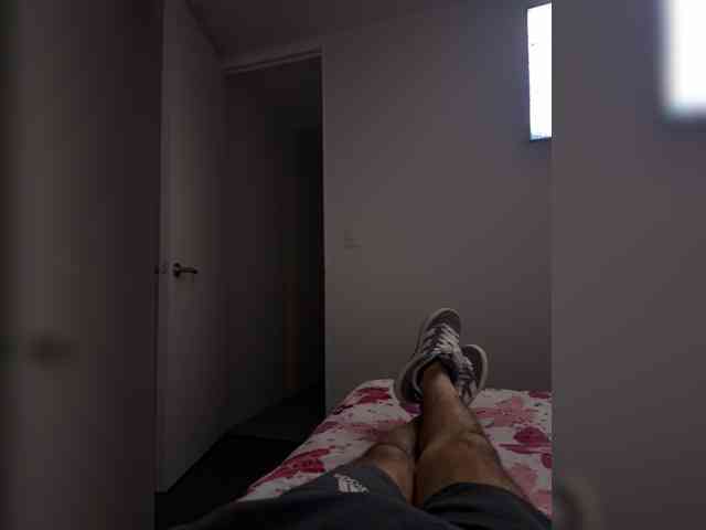 Curiosos3733