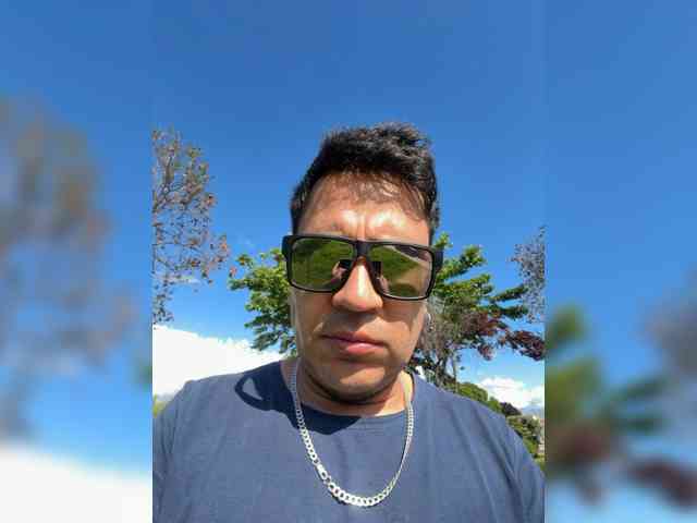 Curiosos3733