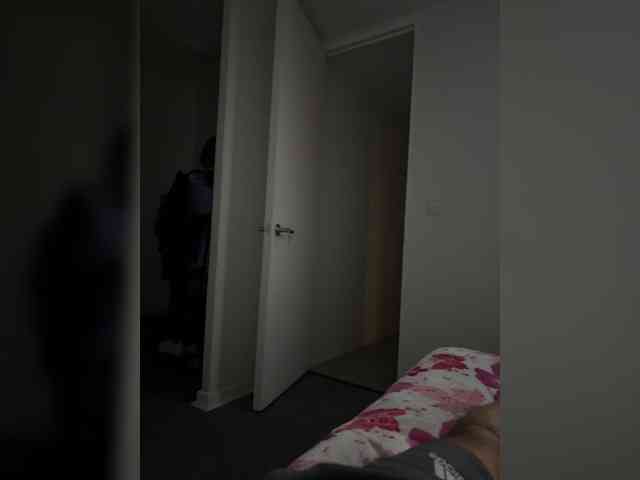 Curiosos3733