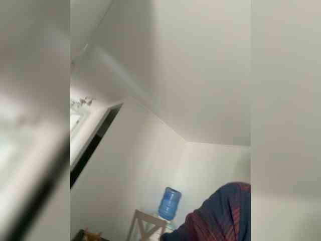 Curiosos3733