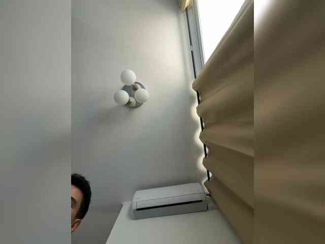 Curiosos3733