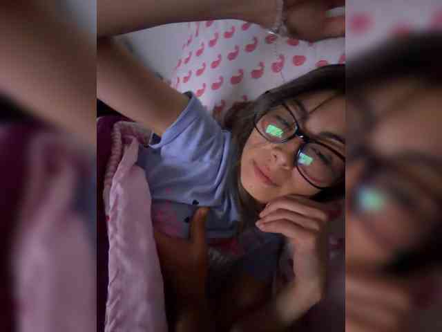 Curiosos3733