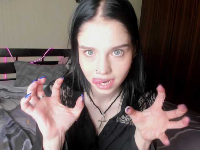 VelvetPaw1 live cam on BongaCams