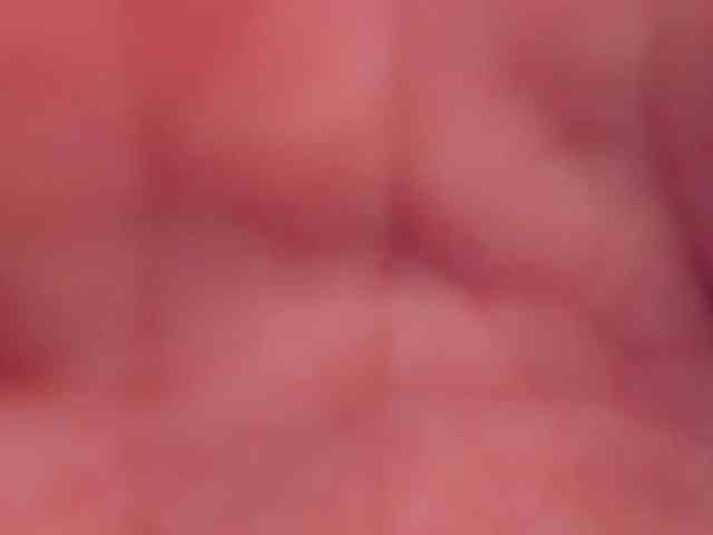 EllaMinx EllaMinx