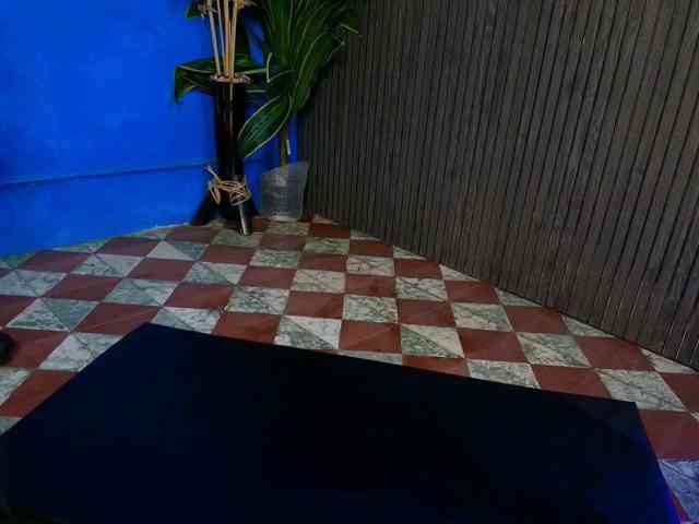 NEOSLY7