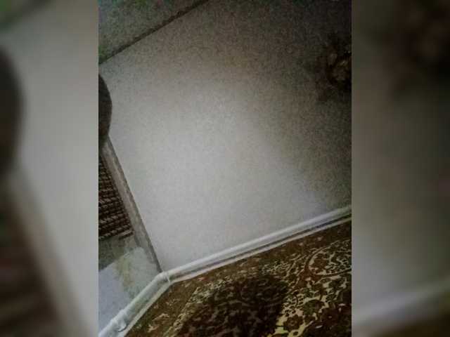 blzbbb