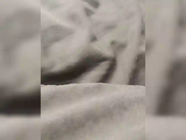 Bombita7711