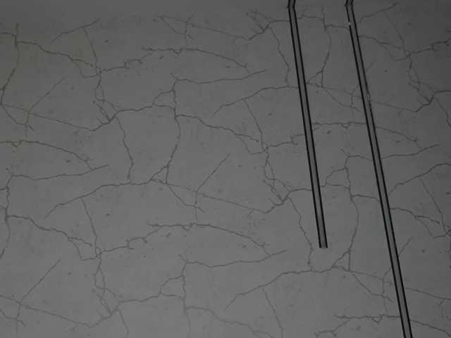 AvaDesire-