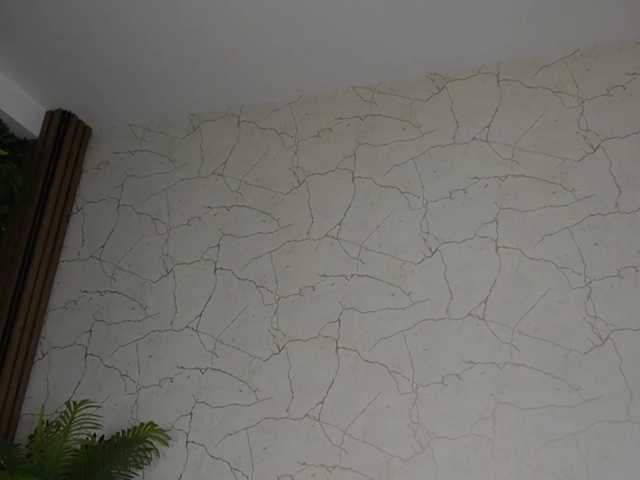 AvaDesire-