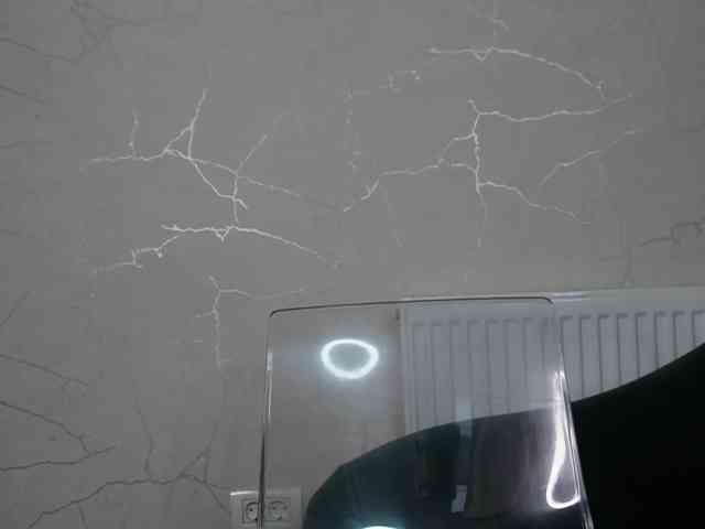 AvaDesire- webcam
