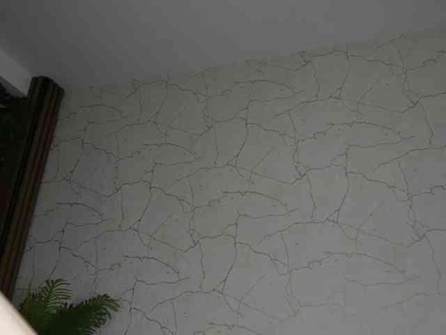 AvaDesire-