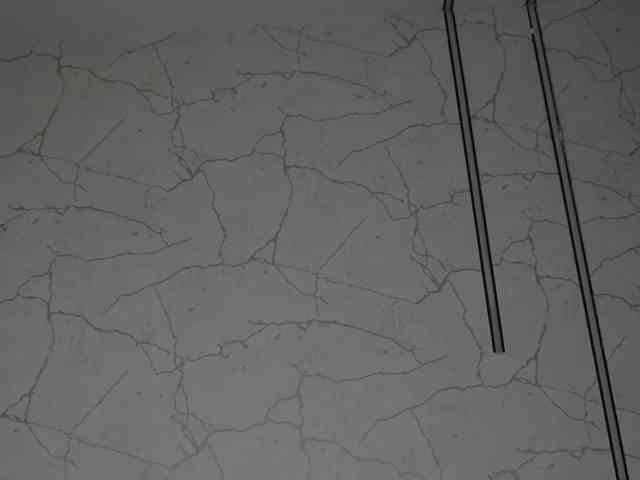 AvaDesire-