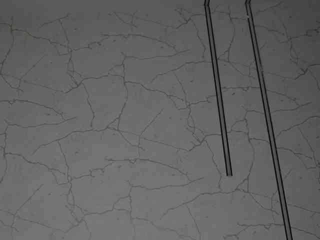 AvaDesire-