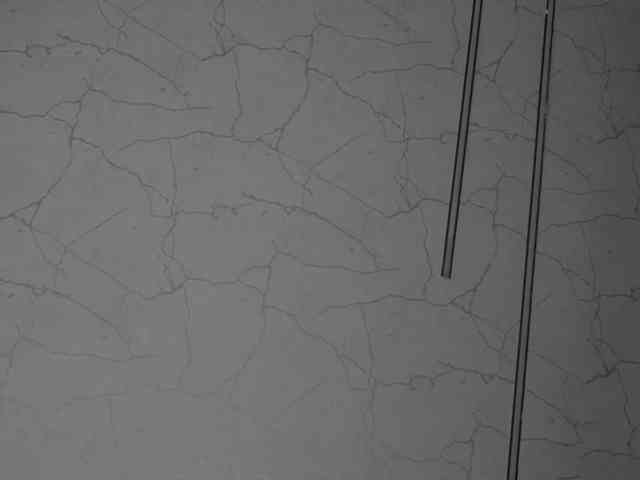 AvaDesire-