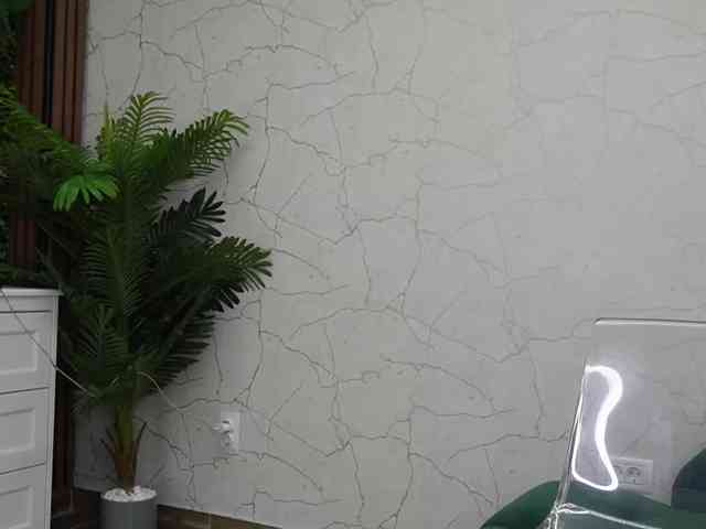 AvaDesire-