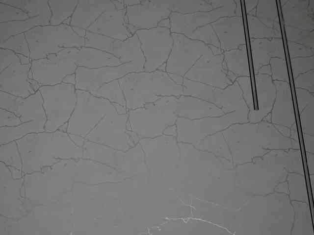 AvaDesire-